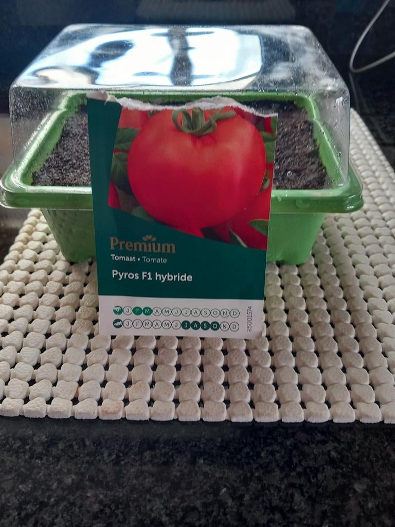 Tomatenplanten, Tuin en Terras, Planten | Tuinplanten, Ophalen