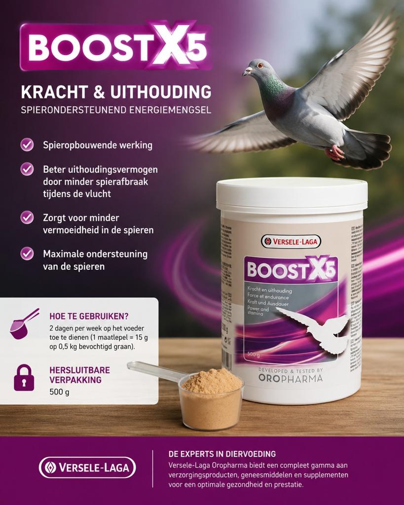Boostx5 - Force et endurance - 500 grammes - Supplément pour, Animaux & Accessoires, Oiseaux | Accessoires, Enlèvement