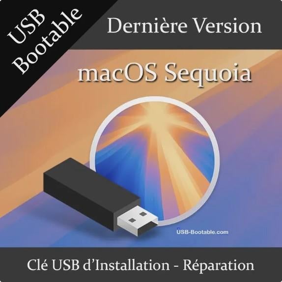 MAC OSx, USB Sticks, Computers en Software, Ophalen of Verzenden, Zo goed als nieuw, Sandisk, 64 GB