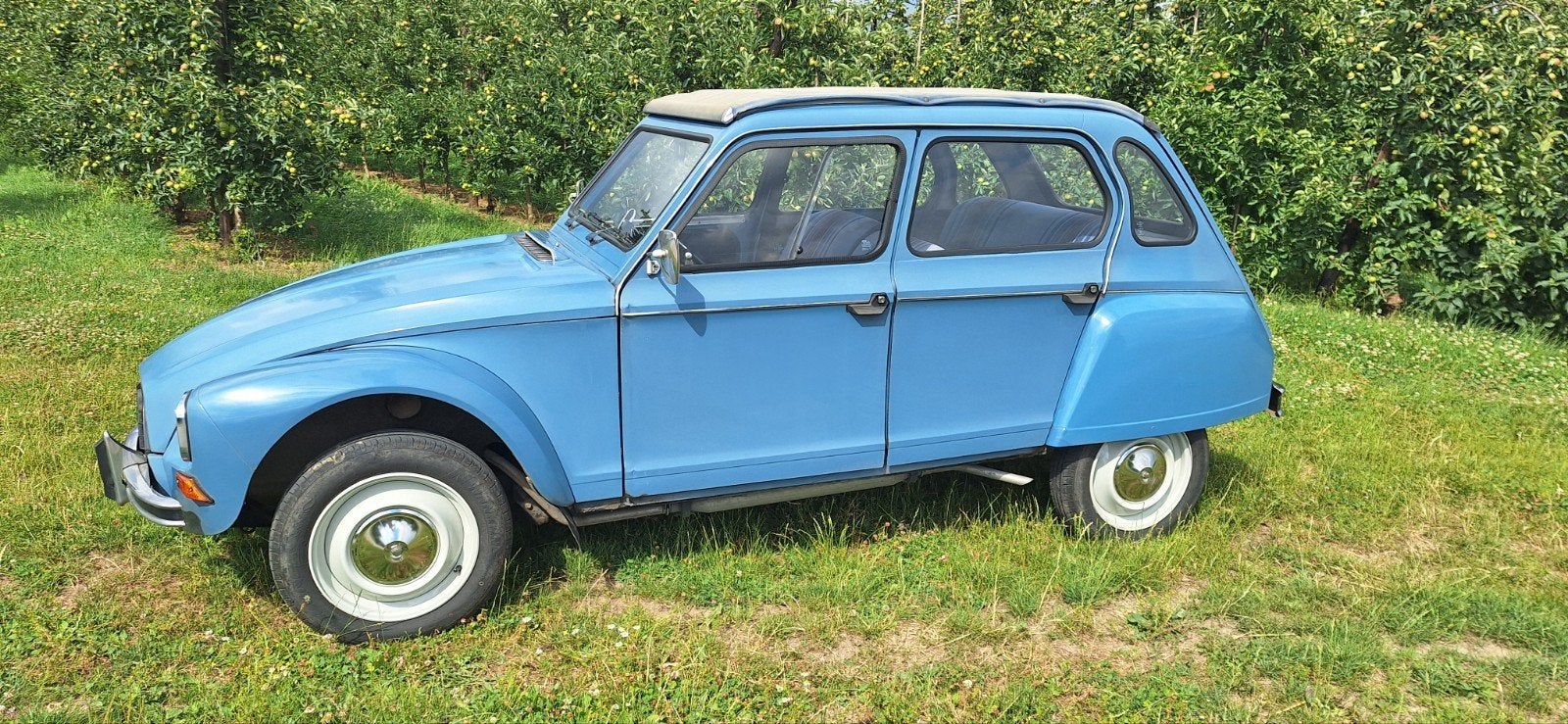 Citroën Dyane 6 de 1981, Autos, Autres modèles, Achat, 602 cm³, Cabriolet