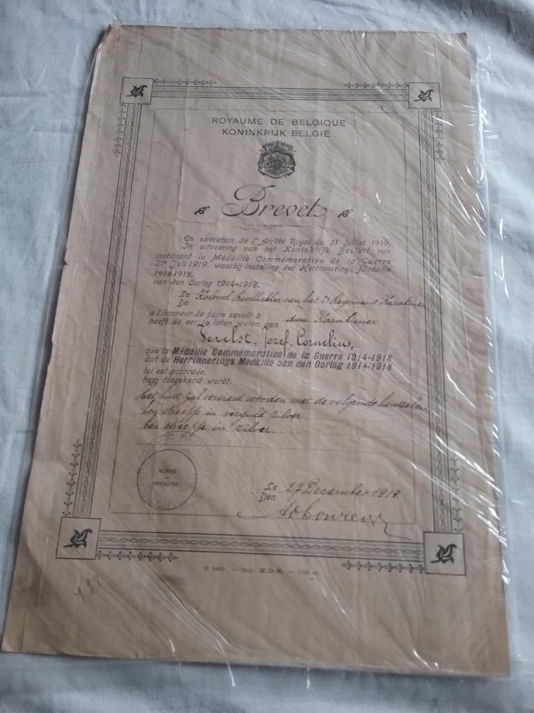 Certificat 1919  médaille commémorative 1914-1918, Enlèvement ou Envoi, Armée de terre, Ruban, Médaille ou Ailes