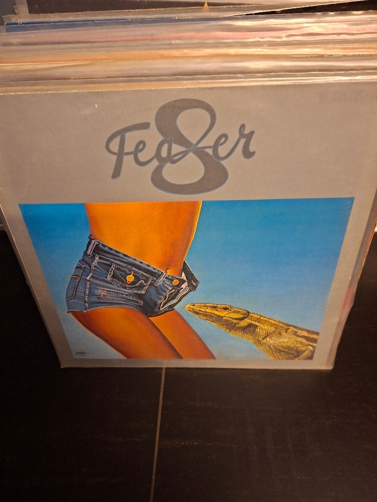 lp - teaser - teaser - bak 5, Enlèvement ou Envoi, Utilisé, Housse de protection extérieure, Hard rock