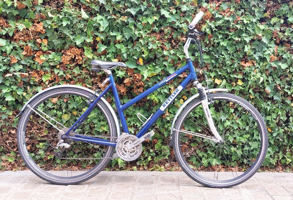 damesfiets, Fietsen en Brommers, Versnellingen, Schijfrem, Ophalen, Overige merken