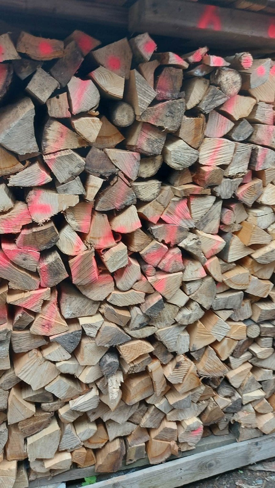 Bois de chauffage, Enlèvement, Bouleau