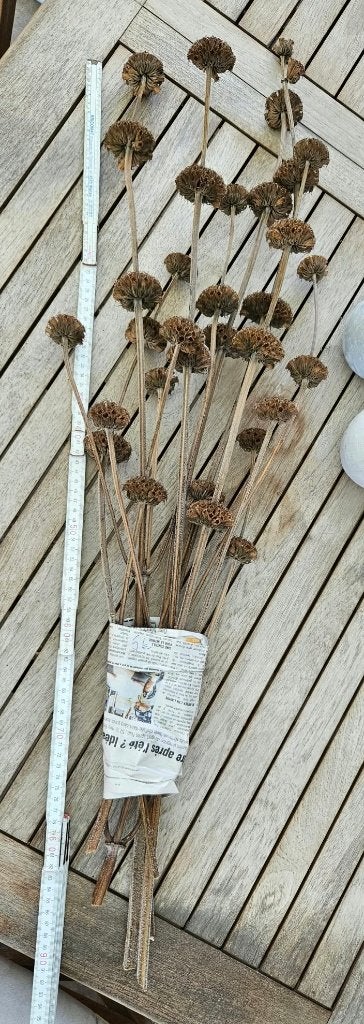 Bouquet de fleurs séchées décoration pour composition, Huis en Inrichting, Ophalen, Gebruikt