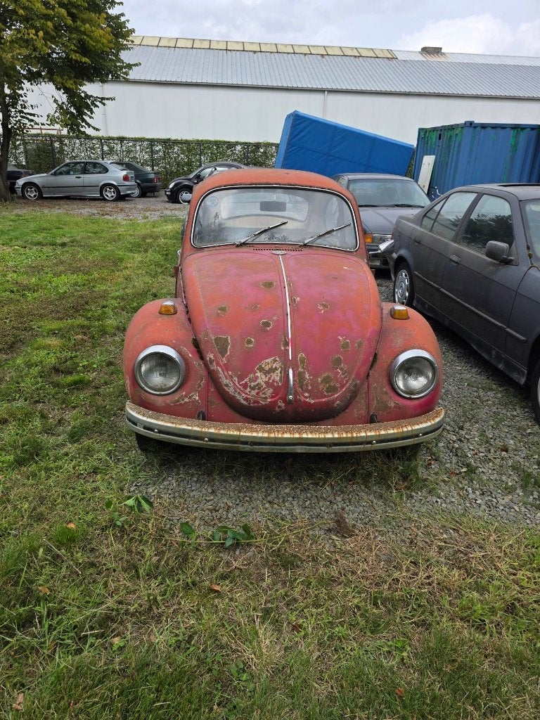 voitures, Rouge, Achat, Entreprise, Coccinelle