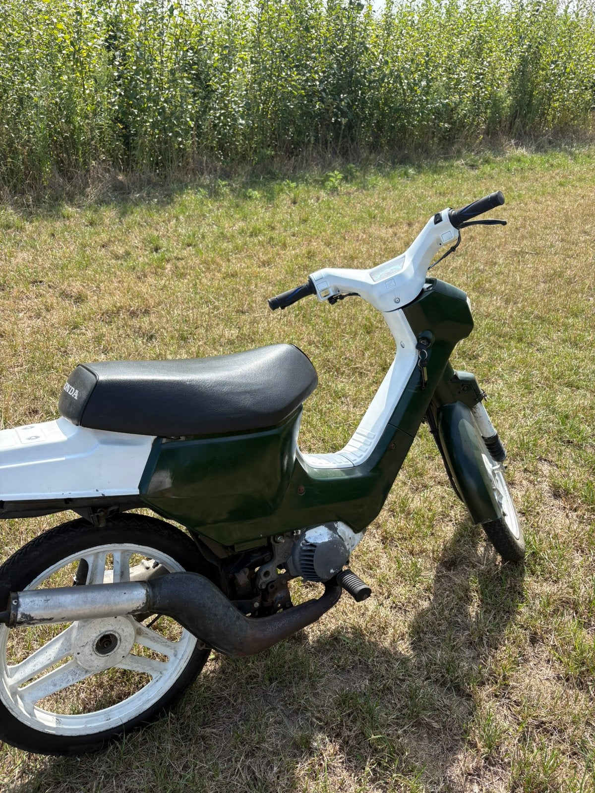 Honda wallaroo (a klasse), Vélos & Vélomoteurs, Enlèvement, Utilisé