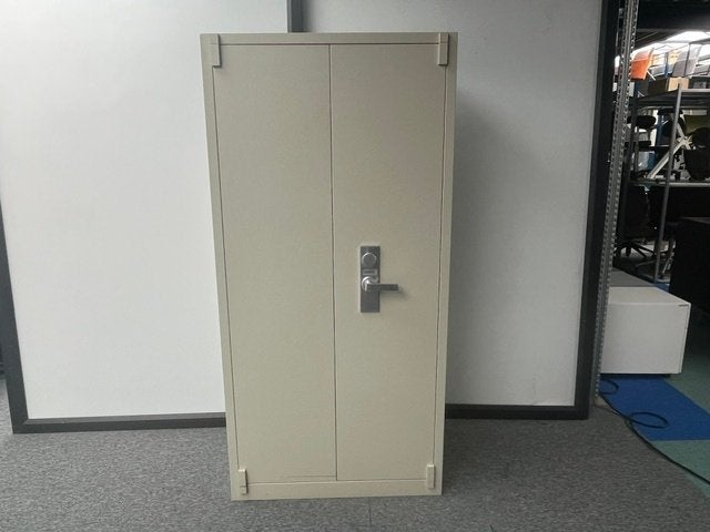Brandwerende kast 195 x 95 x 55, Huis en Inrichting, Ophalen