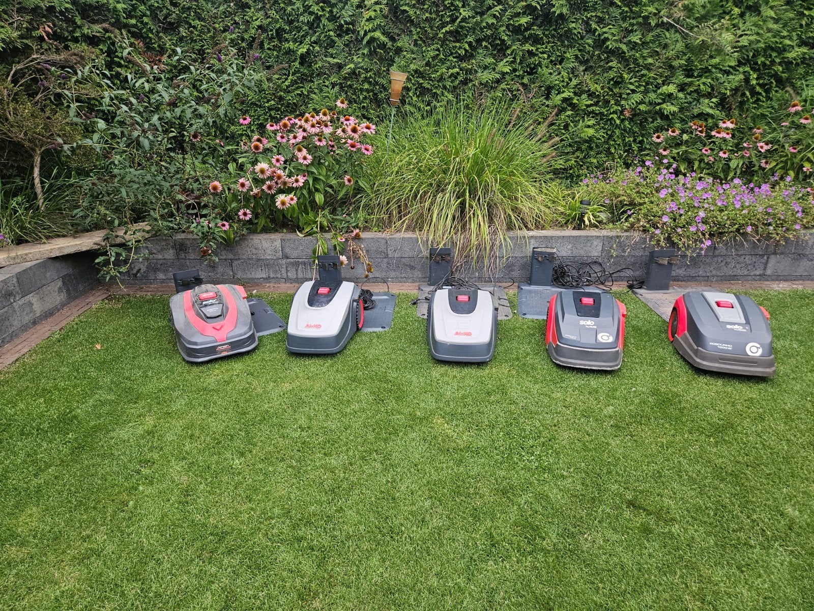 Alko robolinho robotmaaiers, Ophalen, Zo goed als nieuw, Met regensensor, 20 tot 25 cm