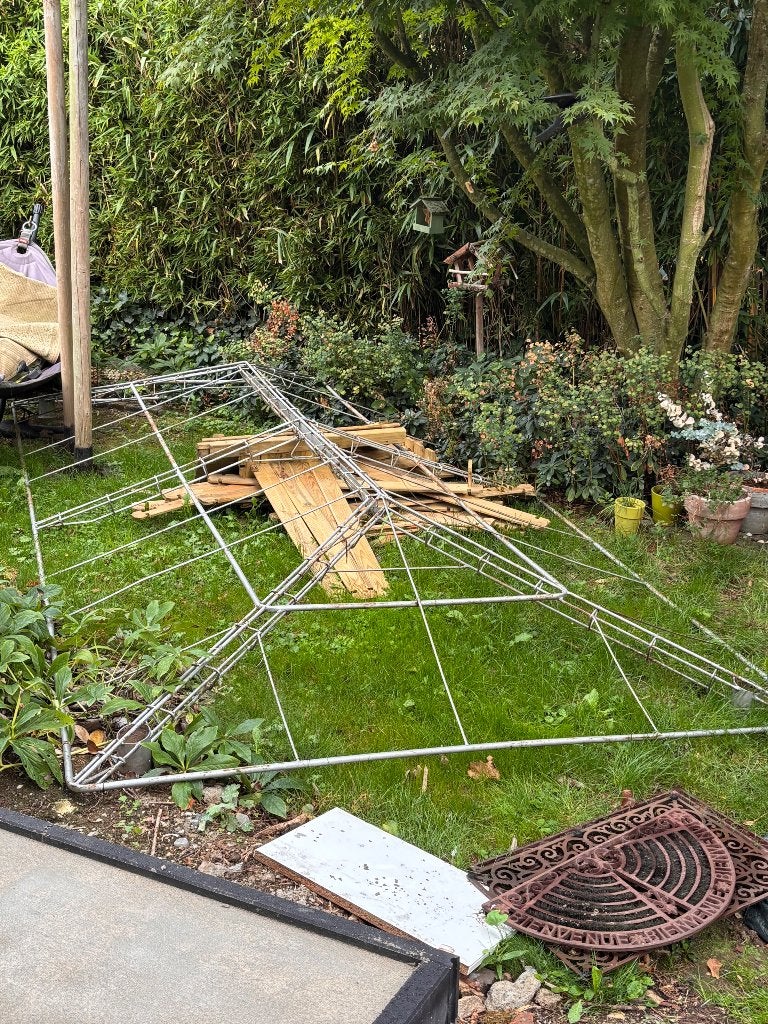 Structure métallique pour glycine / pergola, Enlèvement, Utilisé