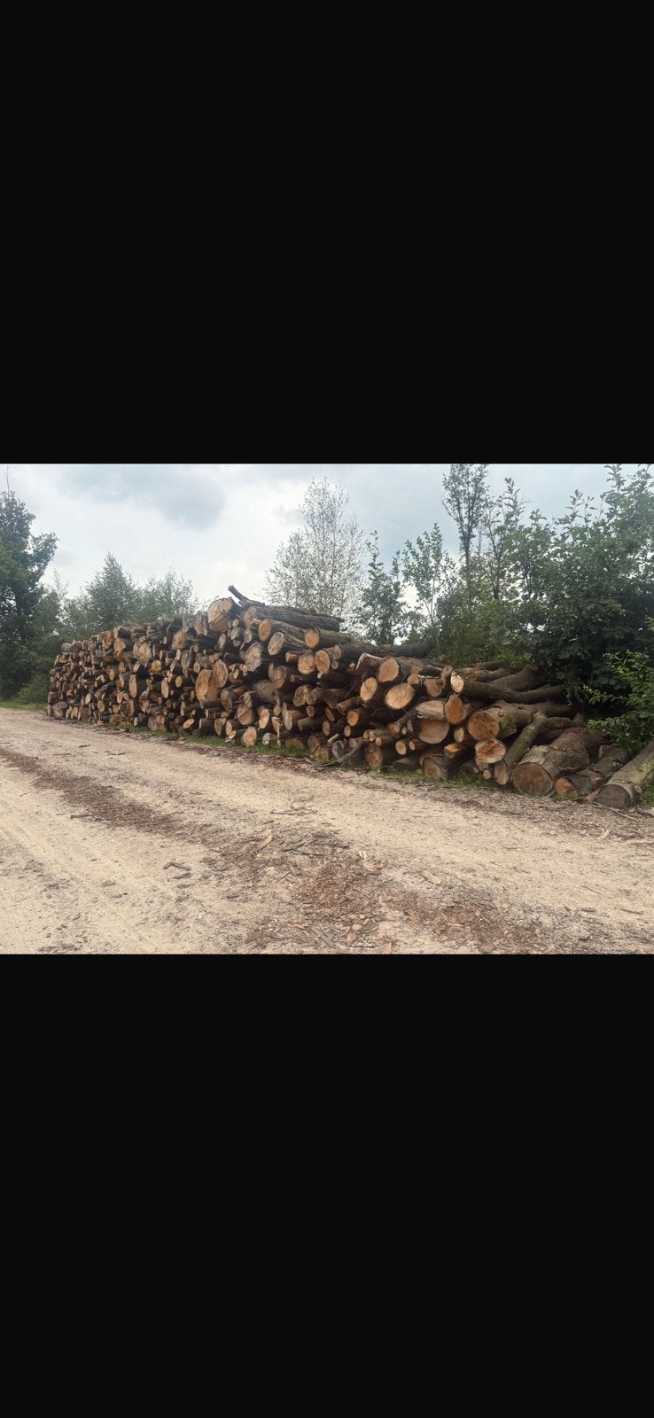 Eiken brandhout 3 meter, Ophalen