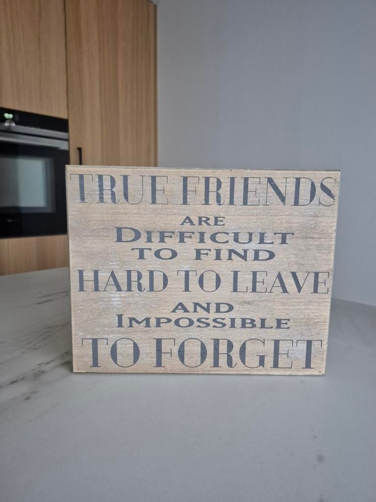 Houten tekstbord vriendschap, Ophalen of Verzenden, Nieuw