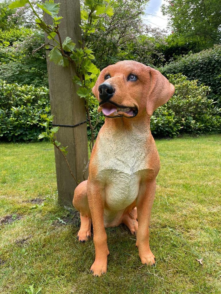 Golden Retriever, dieren, tuin, vijver  80cm, Tuin en Terras, Tuinbeelden, Ophalen, Nieuw, Kunststof, Dierenbeeld