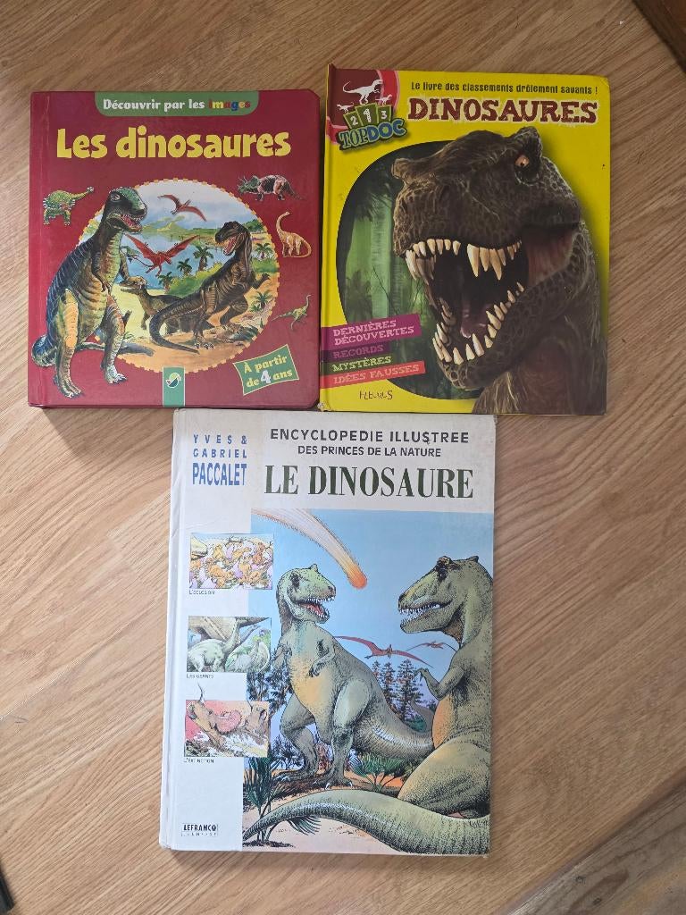 ​Lot 3 Livres Dinosaures - État Nickel, Livres, Livres pour enfants | 4 ans et plus, Utilisé, Non-fiction, 4 ans, Garçon ou Fille