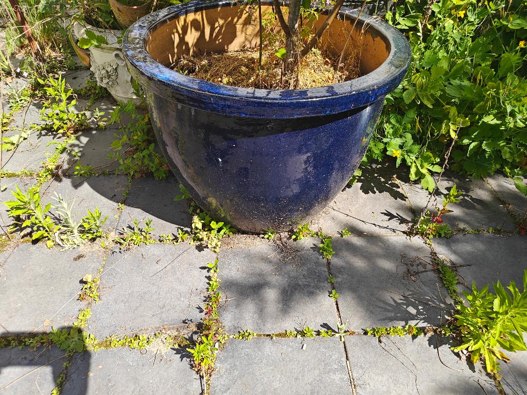 Bloempot 52 x 58, Ophalen of Verzenden