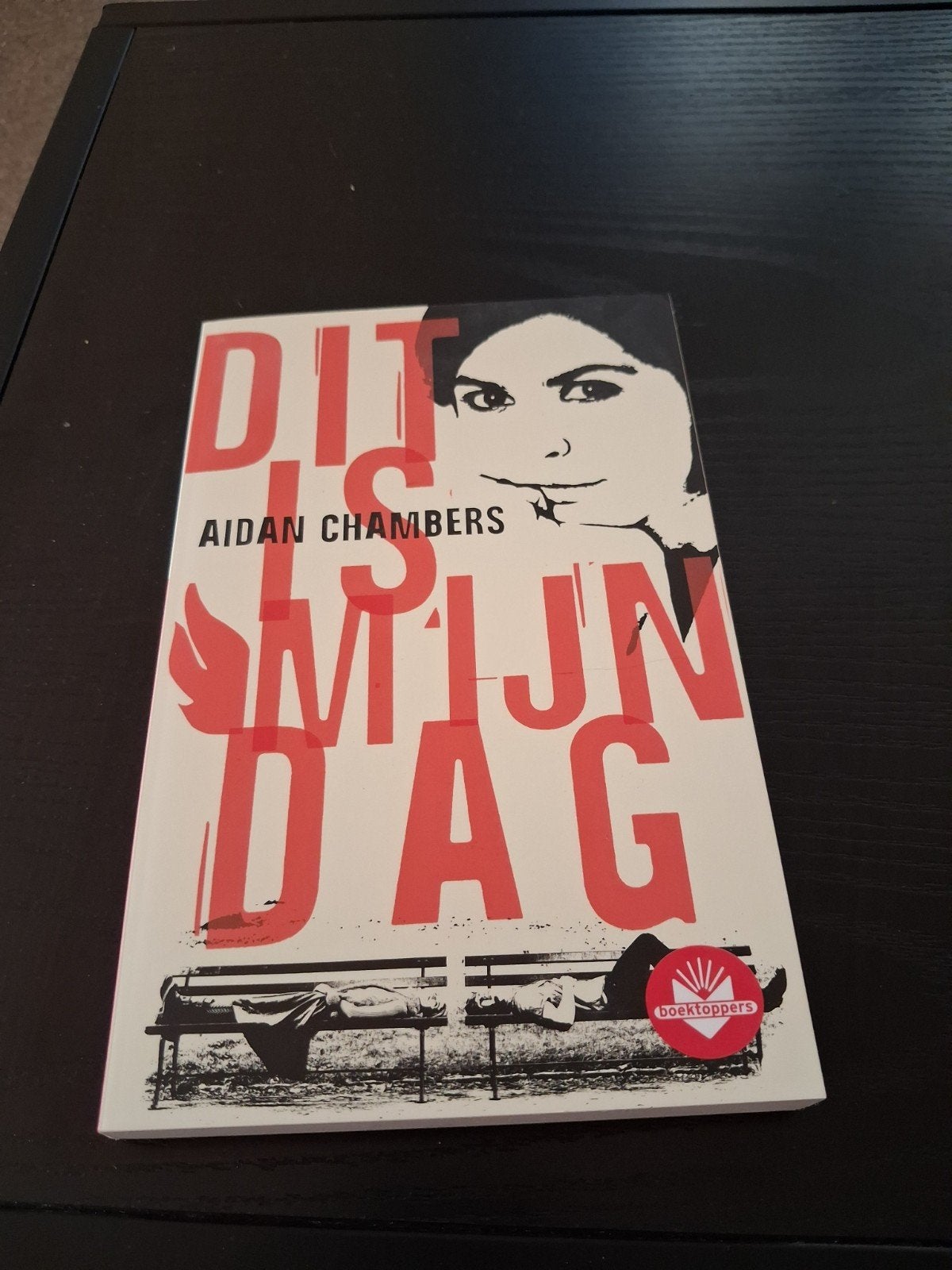 Dit is mijn dag, Ophalen of Verzenden, Zo goed als nieuw, Aidan Chambers