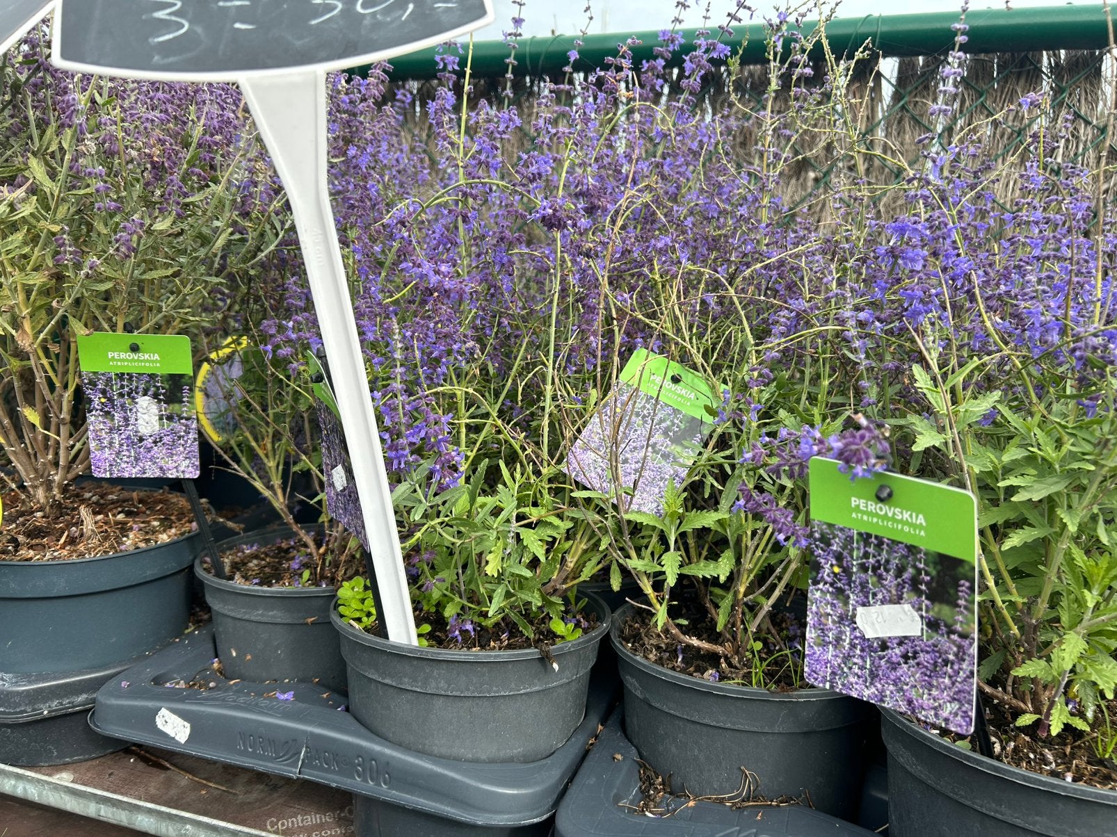 Restpartij tuinplanten, Tuin en Terras, Ophalen
