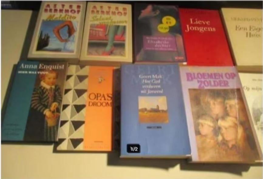 15 Prima Nederlandstalige Romans van bekende schrijvers, Boeken, Ophalen of Verzenden, Zo goed als nieuw