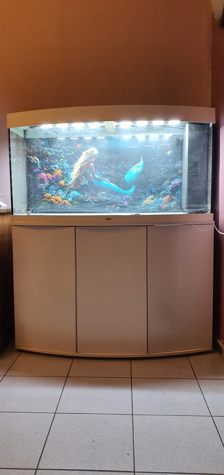 Aquarium juwel 260l, Enlèvement, Chauffage, Juwel