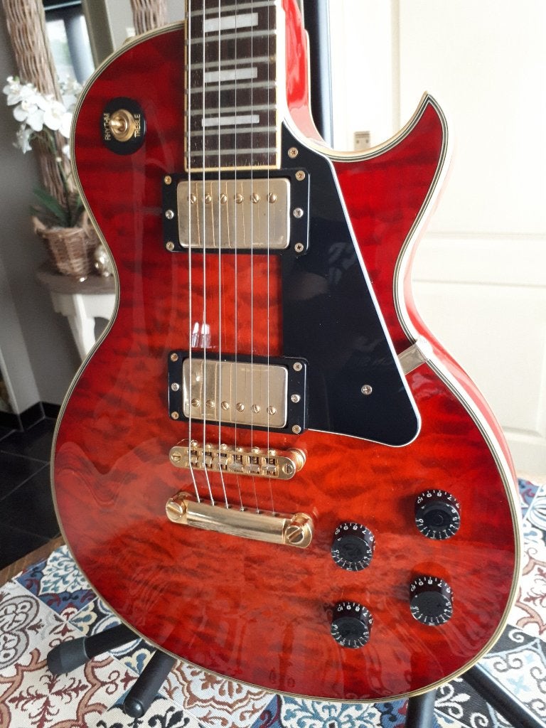 elektrische gitaar, Enlèvement, Utilisé