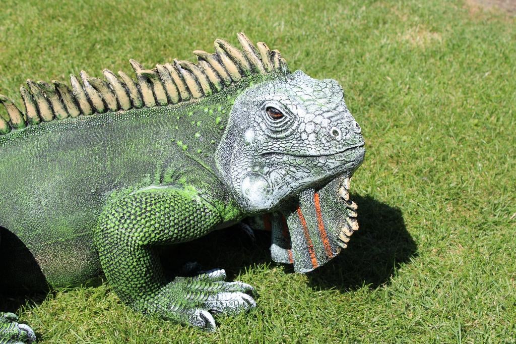 statue d un iguane couleurs naturel 1 m !!, Enlèvement, Neuf, Synthétique, Animal