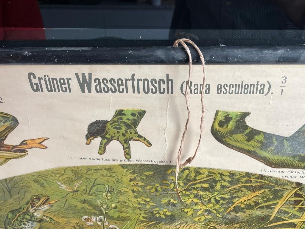 OUDE WANDKAART, Antiek en Kunst, Ophalen of Verzenden