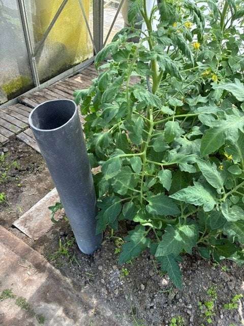 Pvc buizen / watergift tomaten of dergelijke +- 20 stuks, Ophalen, Gebruikt