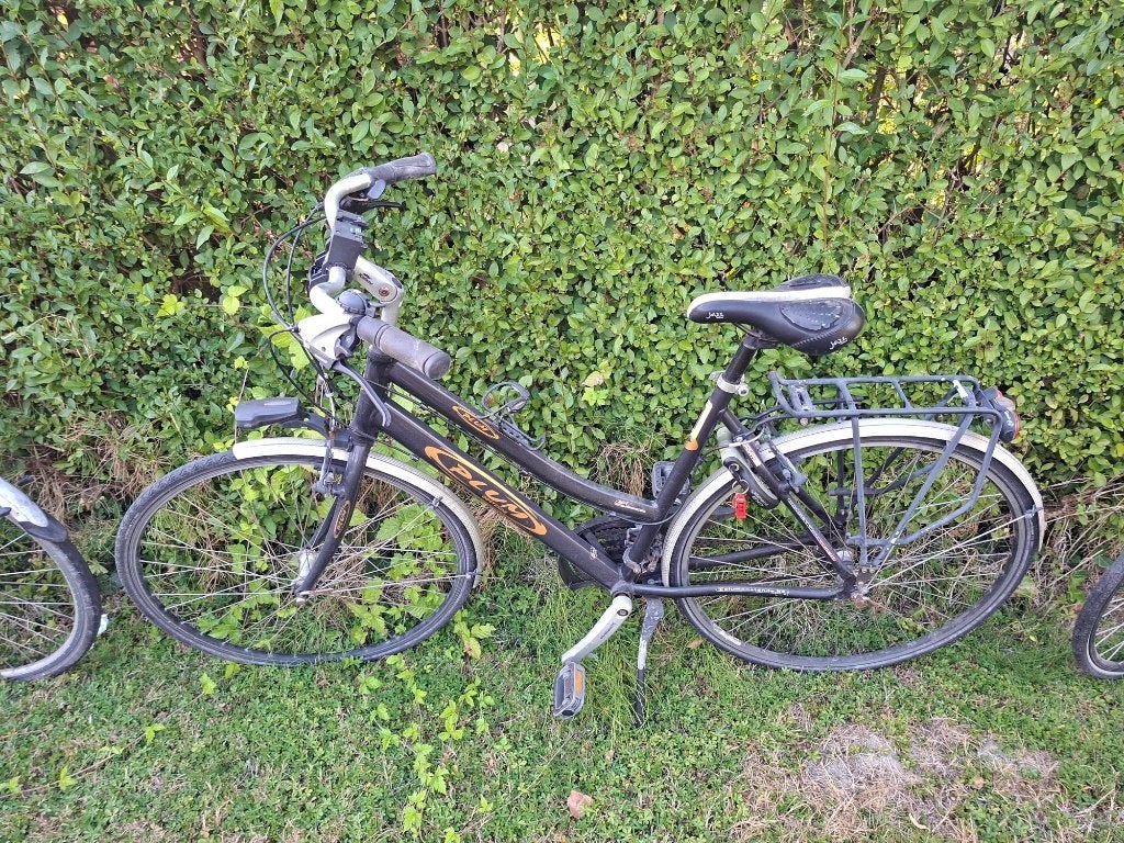 Prachtige dames en heer tourfiets, Ophalen, Dames