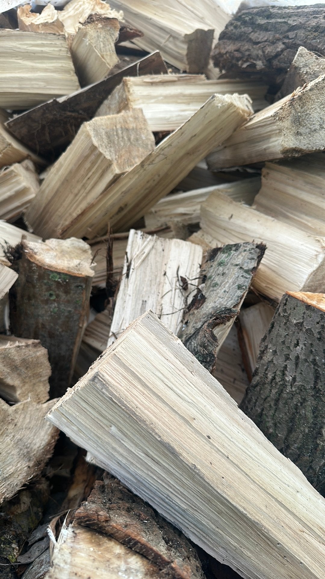 Bois de chauffage en peuplier, 6 m³ ou plus, Enlèvement, Autres essences de bois, Bûches