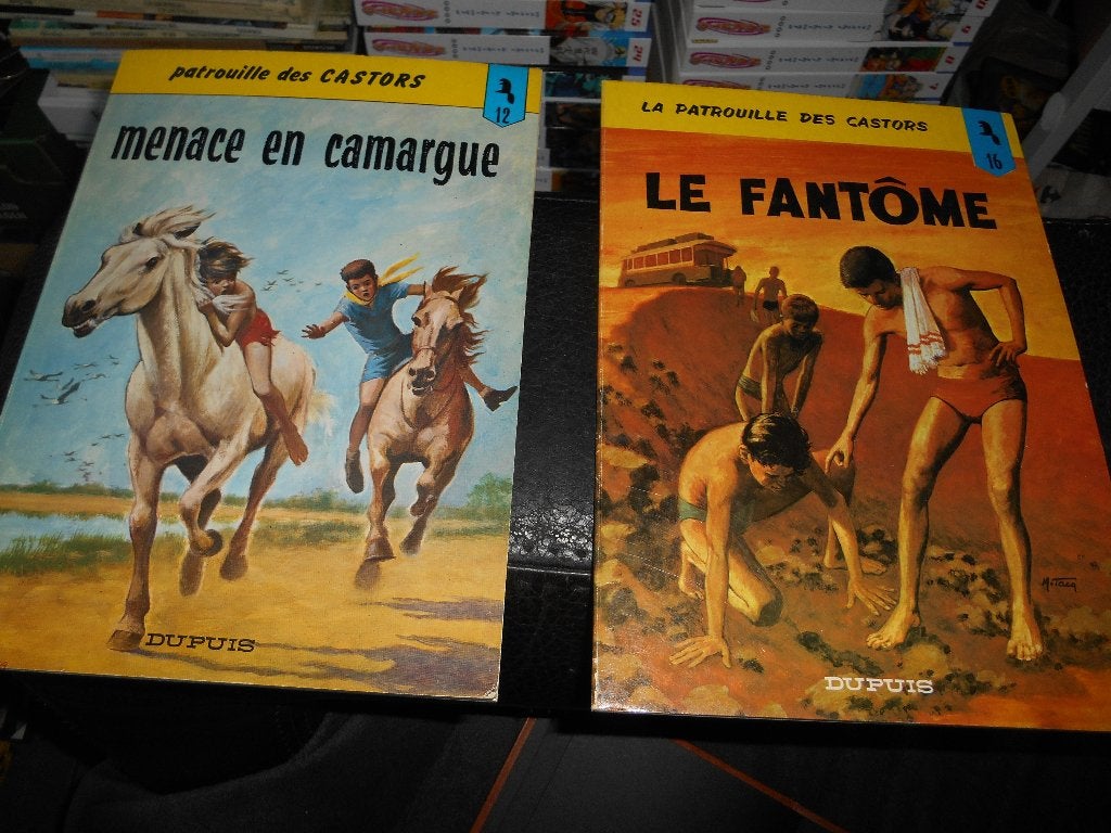 Lot de 2 La Patrouille des Castors 12 +16, Livres, Enlèvement ou Envoi