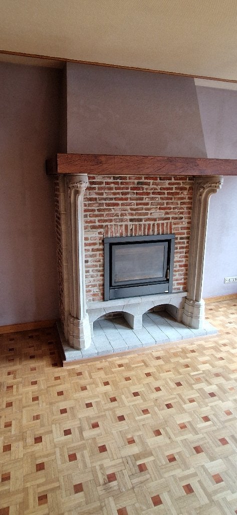 Feu ouvert Bodart & Gonnay, Enlèvement, Utilisé, Insert, Cheminée au bois