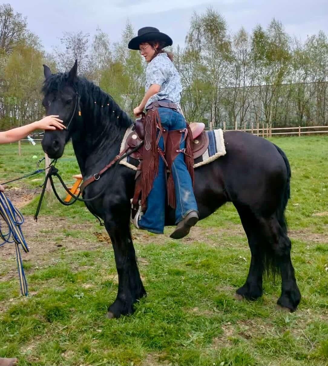 Zadelmak maken Horsemanship methode, Dieren en Toebehoren, Ophalen