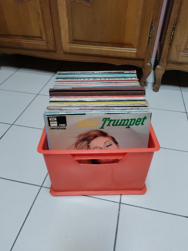 Disques 33 tours (le cuver 10€, les 2 pour 15€), Enlèvement, Utilisé