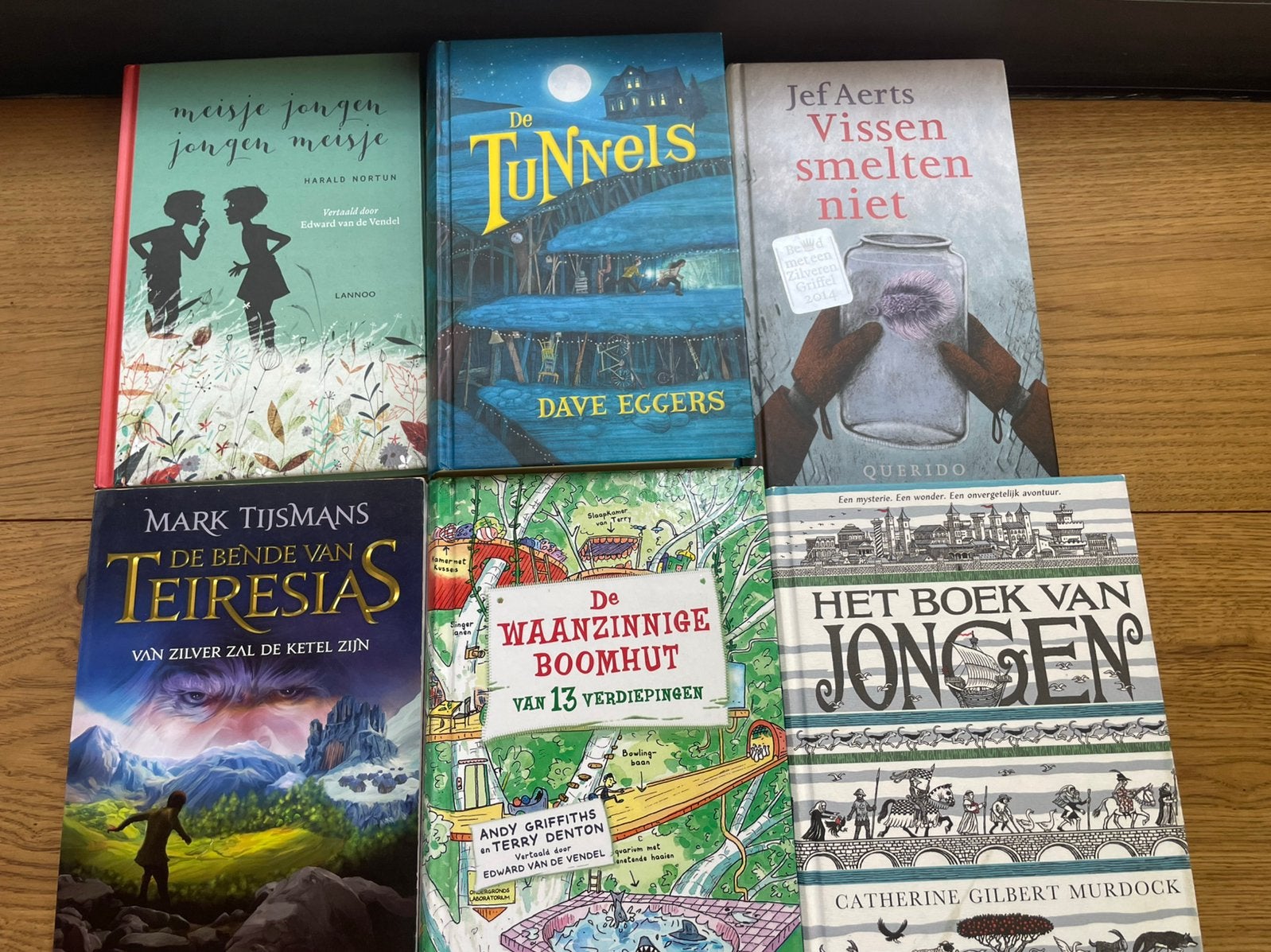 waanzinnige boomhut- Tijsmans- dave Eggers en andere, Ophalen of Verzenden, Zo goed als nieuw