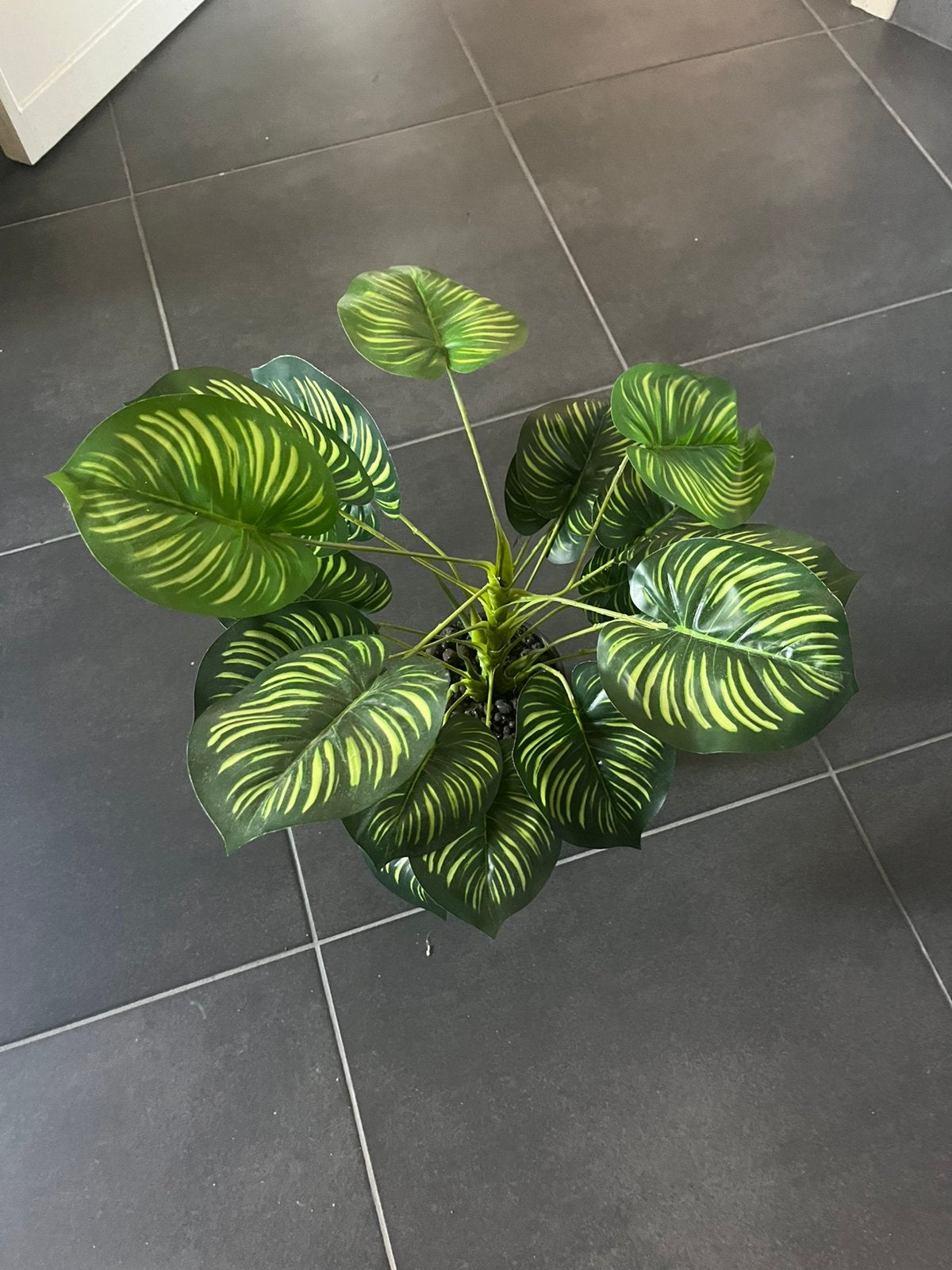 Kunstplant, Ophalen, Minder dan 100 cm