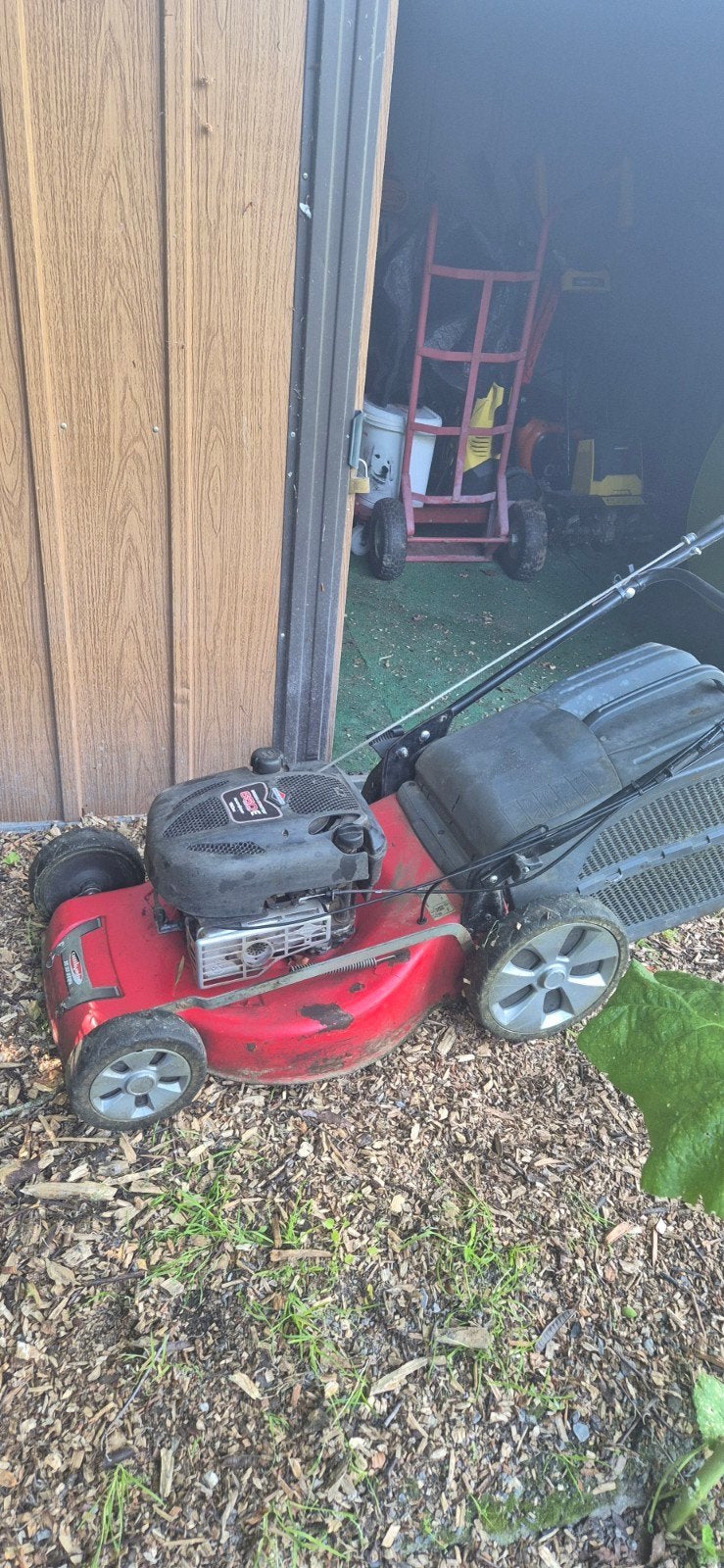 Tondeuse castelgarden moteur briggs stratton 190cc, Jardin & Terrasse, Tondeuses à gazon, Enlèvement
