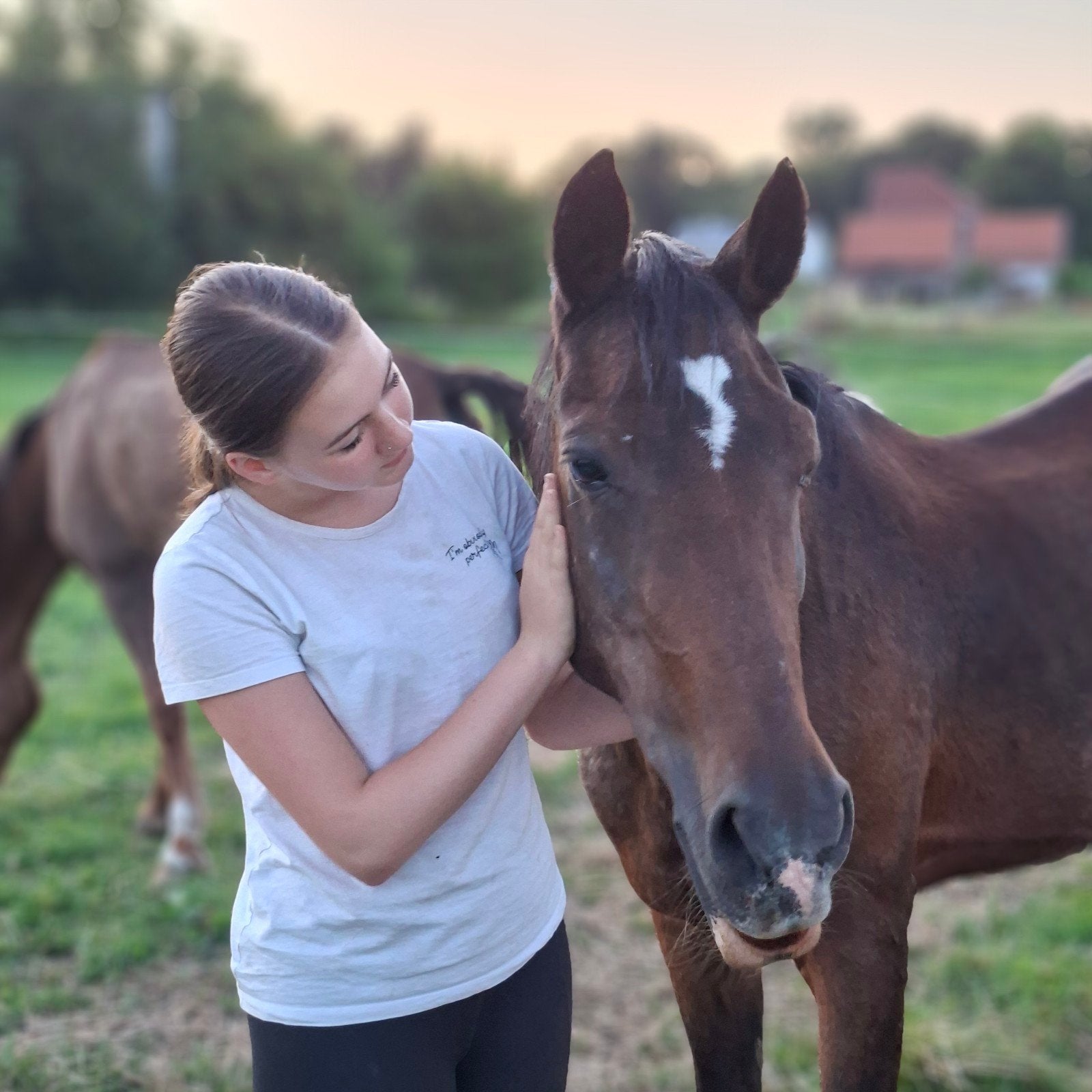 Verzorger/bijrijder gezocht, Dieren en Toebehoren