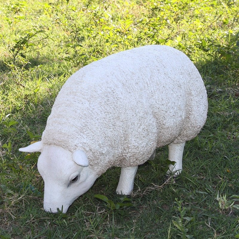 Texelaar - Tête baissée - Petit - Mouton