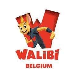 2 tickets walibi of bellewaerde, Tickets en Kaartjes, Recreatie | Pretparken en Attractieparken, Twee personen, Ticket of Toegangskaart