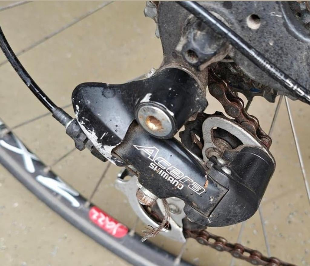 Vélo de course Flanders avec cadre en aluminium pour femmes, Enlèvement