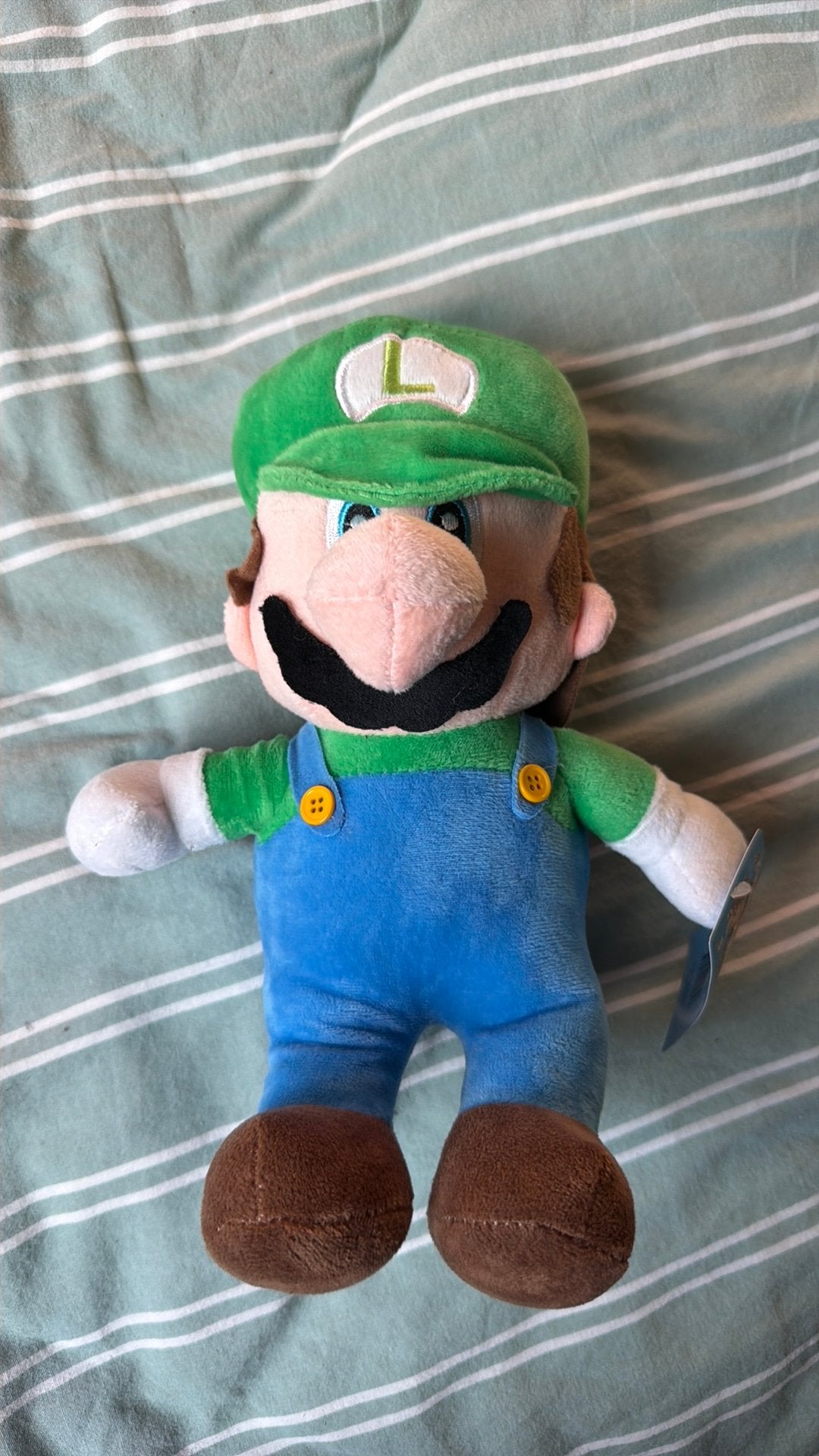 Luigi Plush, Kinderen en Baby's, Overige typen, Ophalen of Verzenden, Nintendo, Middelgroot (20 tot 80 cm)
