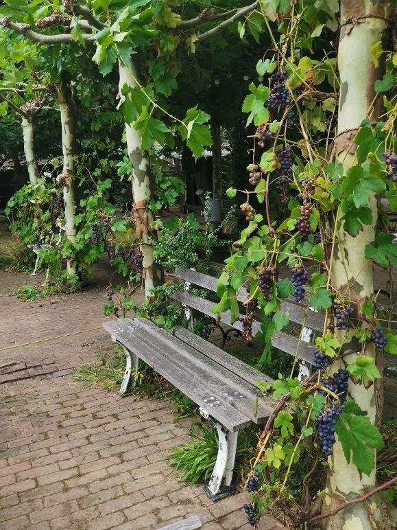 Witte gietijzeren zware tuinbank hardhout, Antiek en Kunst, Curiosa en Brocante, Ophalen