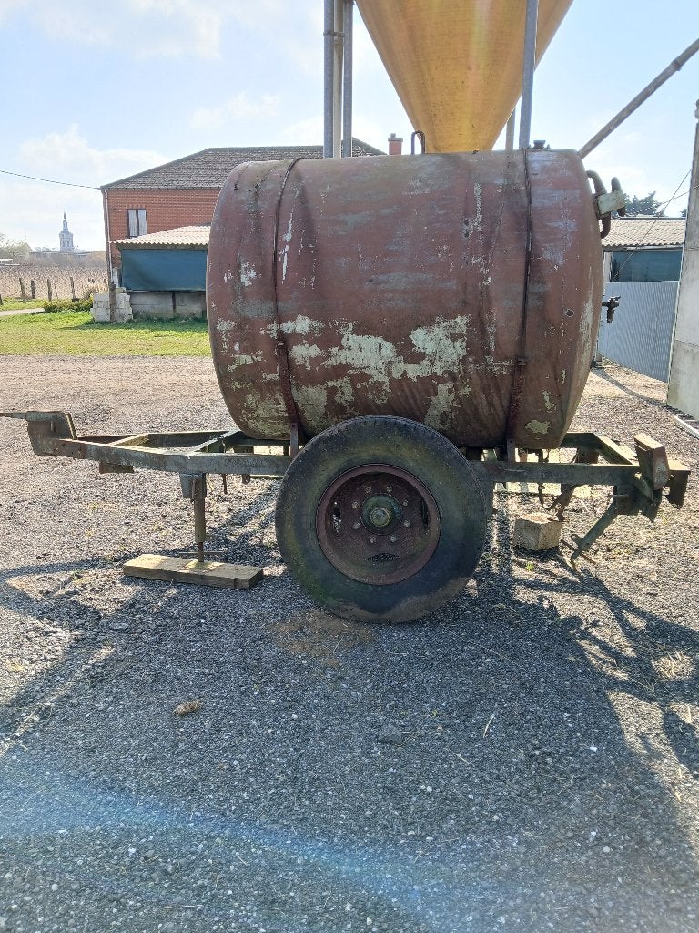 Watervat, Dieren en Toebehoren, Runderen