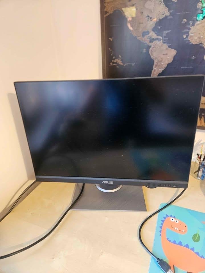 Asus Pro Art monitor PA248QV, Computers en Software, DisplayPort, Full HD, Zo goed als nieuw, Hoofdtelefoonaansluiting