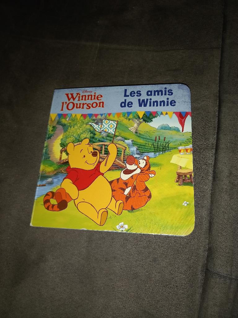 Livre winnie l'ourson, Livres, Enlèvement ou Envoi