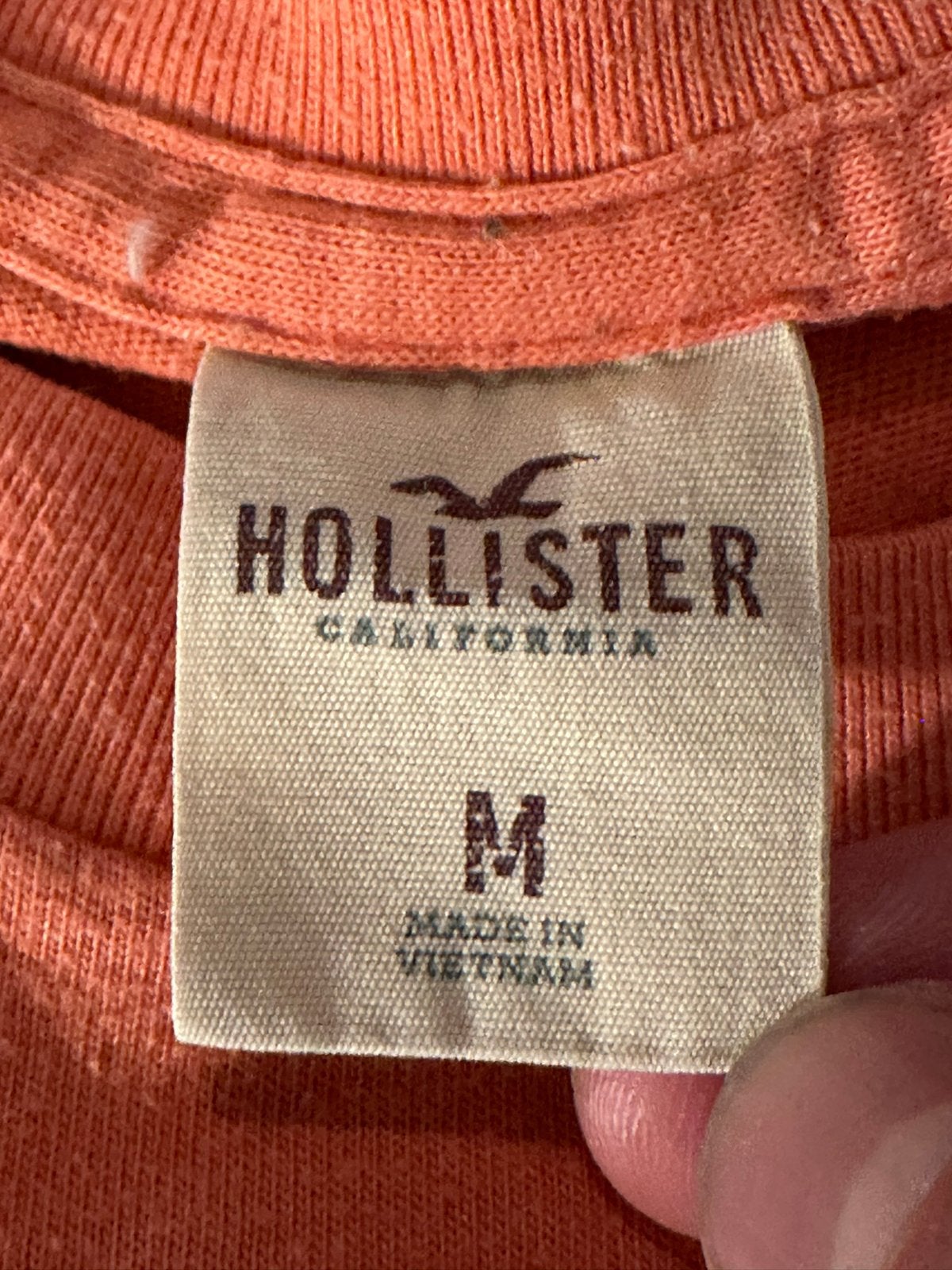 Zomer t shirt Hollister in perfecte staat, Ophalen of Verzenden, Zo goed als nieuw, Maat 48/50 (M), Overige kleuren