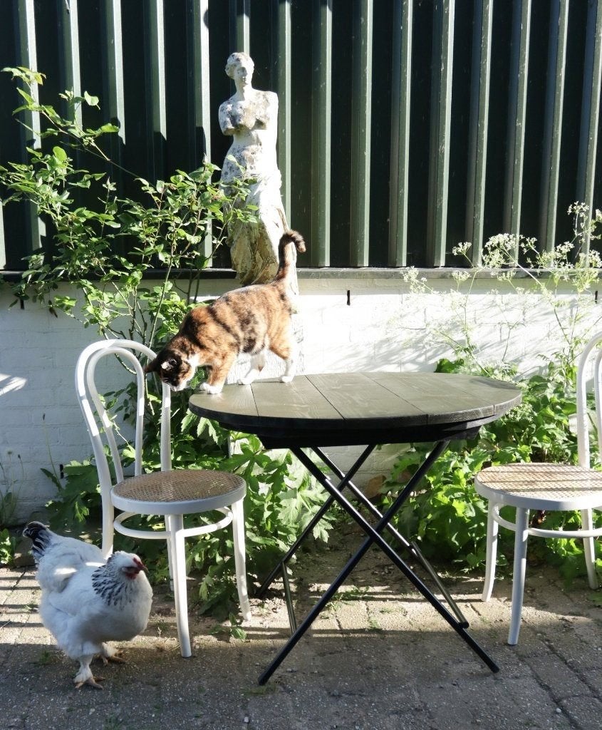 Franse Stijl Ronde Klaptafels Terrastafels Donker Olijf, Enlèvement