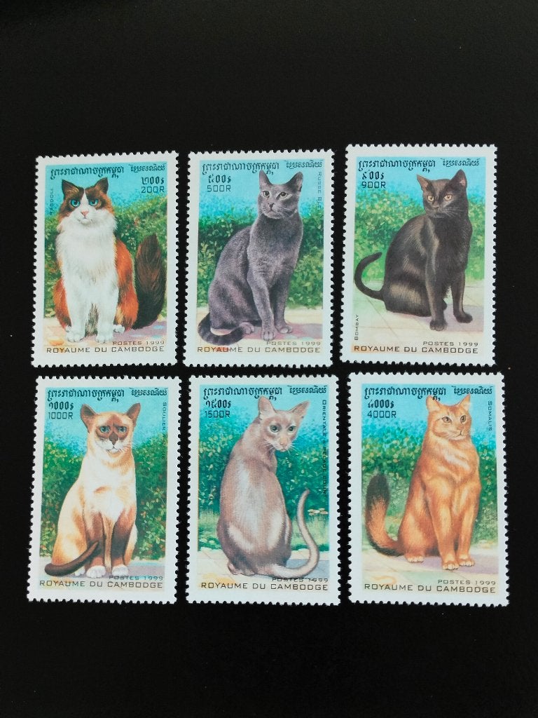 Cambodge 1999 - chats **, Envoi, Non oblitéré, Asie du Sud Est