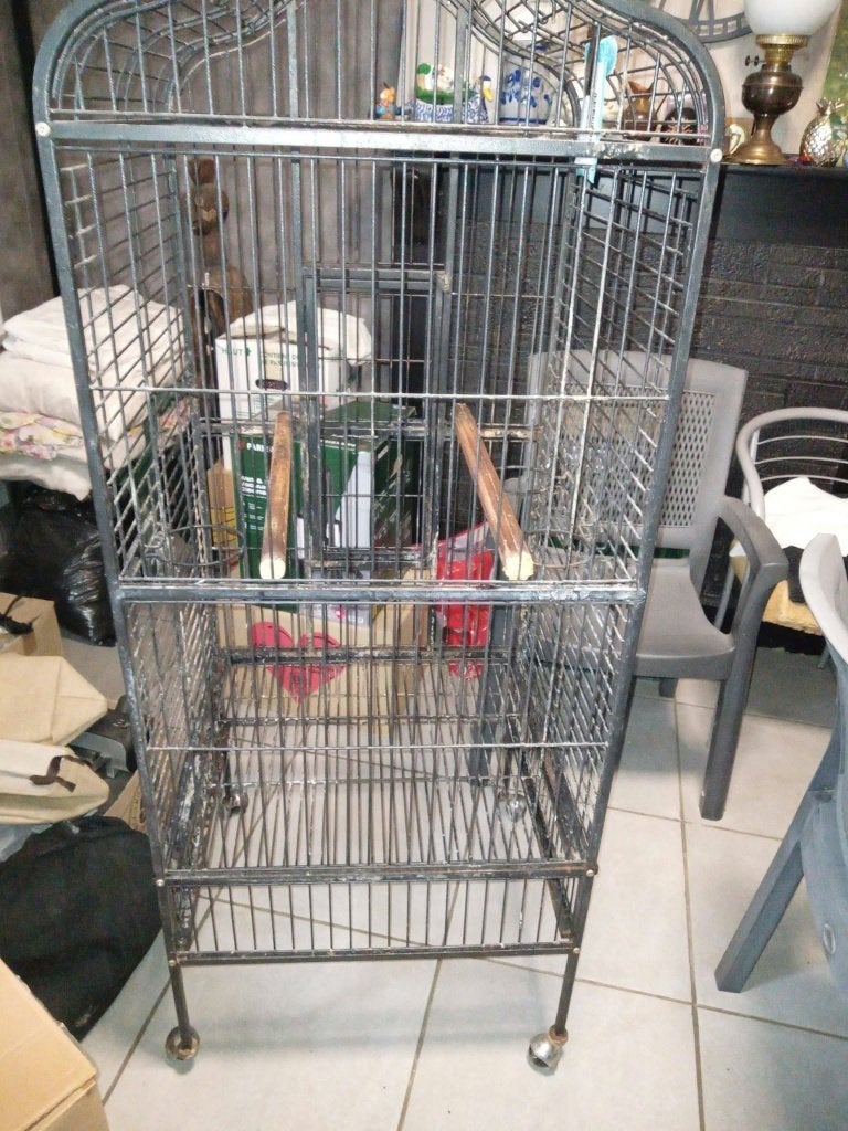 cage pour perroquet, Animaux & Accessoires, Enlèvement, Utilisé, Métal, Cage à oiseaux