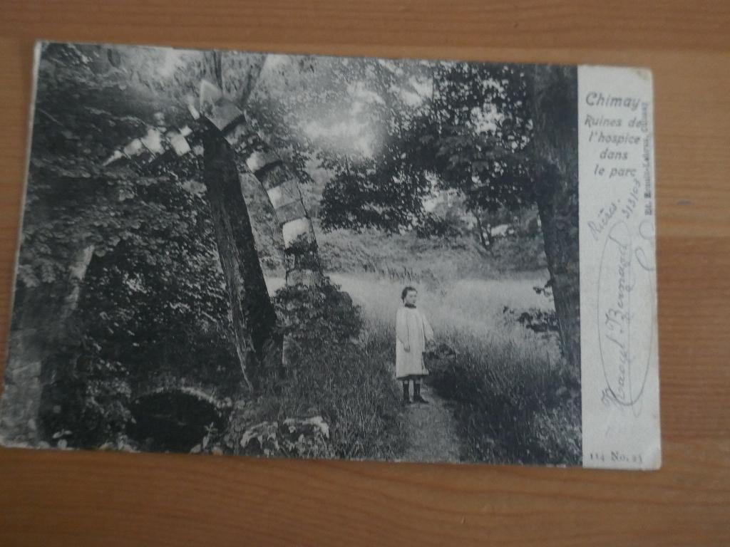 chimay ruines de l'hospice dans le parc, Verzenden, Gelopen, Henegouwen